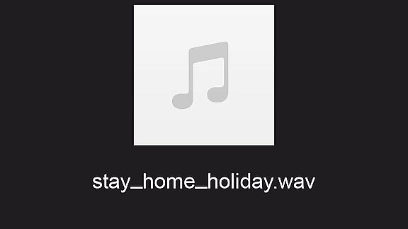 Stay Home Holiday